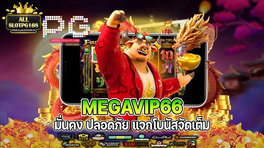 MEGAVIP66